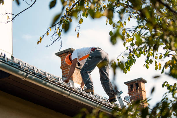 Best Metal Roofing Contractor  in Woodville, WI