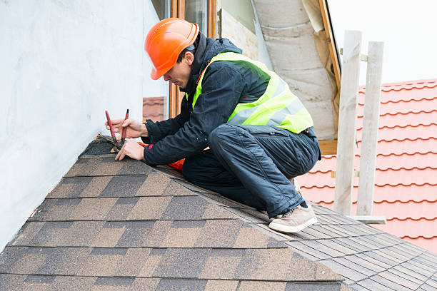 Best Metal Roofing Contractor  in Woodville, WI
