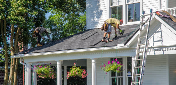 Best Local Roofing Companies  in Woodville, WI