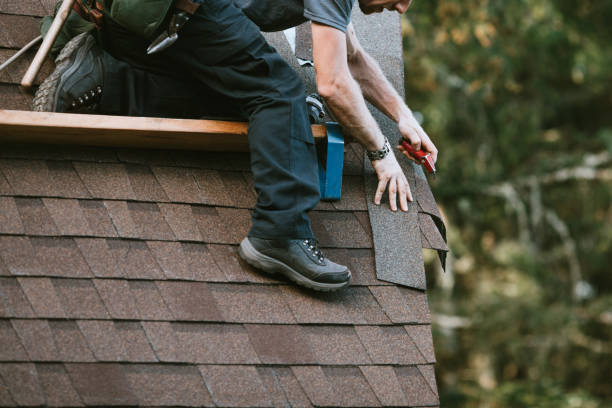 Best Roof Repair Specialists  in Woodville, WI